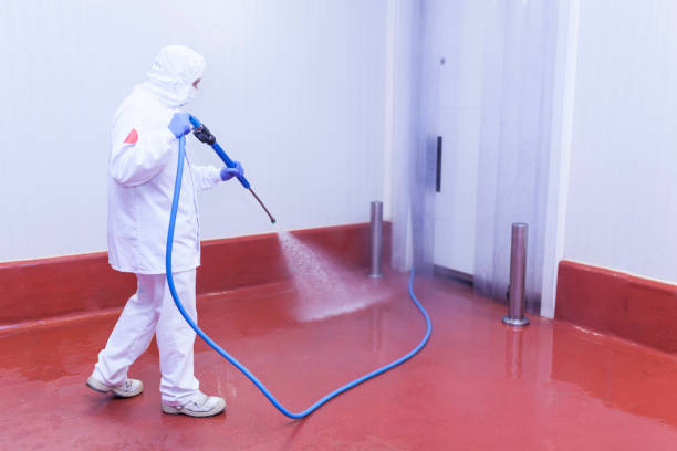  Paincourtville, LA Pressure Washing Pros